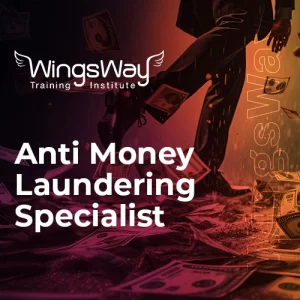 Anti Money Laundering Specialist Icon